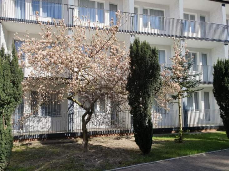 Osrodek Wczasowy Wrzos Lukecin Exterior photo